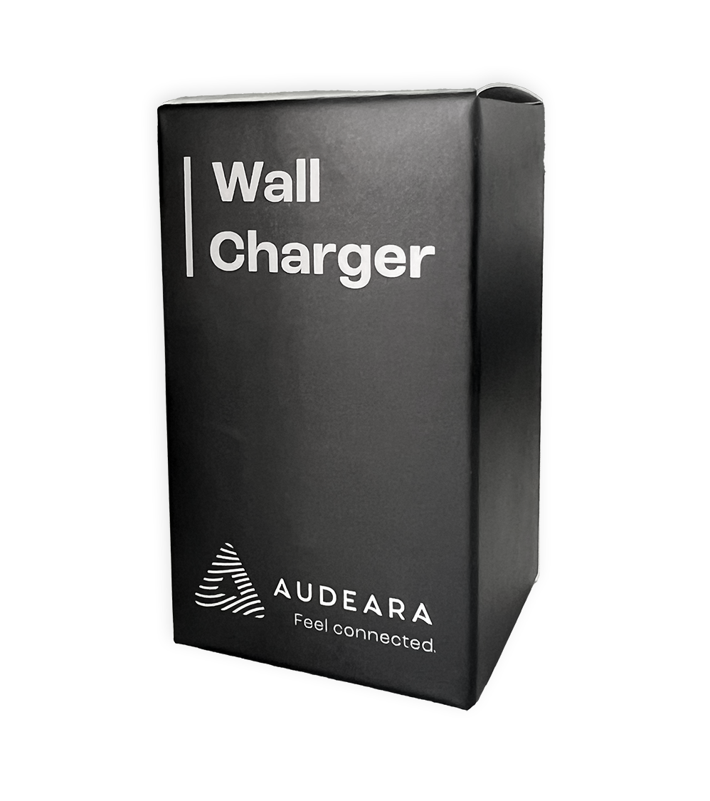 Wall Charger – Dual Port USB